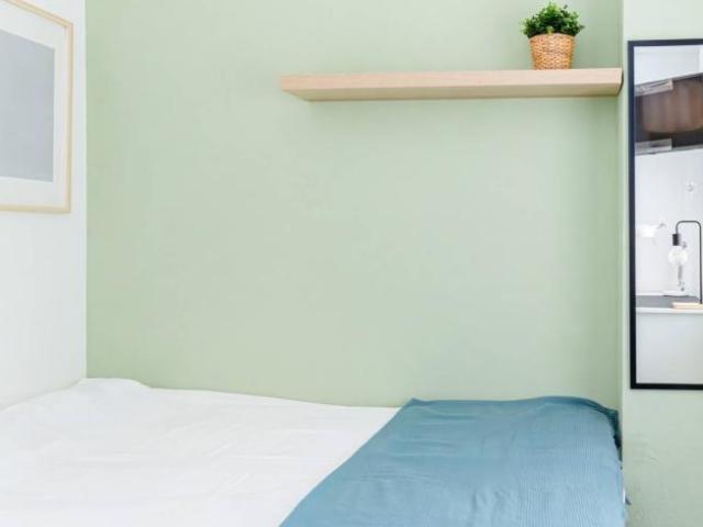 Alquiler 4 Dormitorio Shared Living/Roommate Zaragoza Zaragoza DS104845651