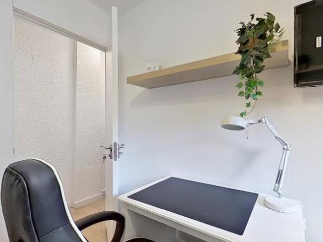 Alquiler 4 Dormitorio Shared Living/Roommate Zaragoza Zaragoza DS104845826