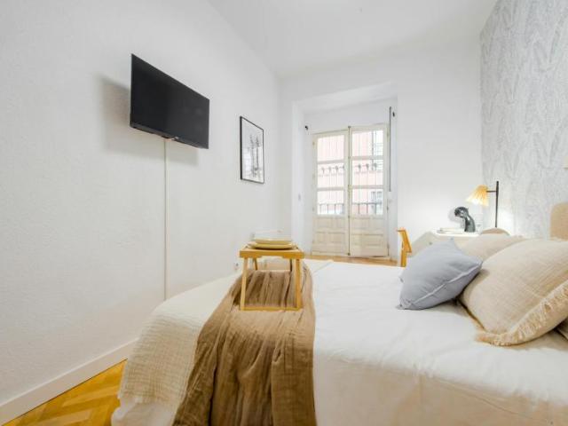 Alquiler 5 Dormitorio Apartamentos Madrid Madrid DS104364408
