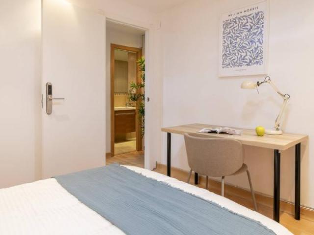 Alquiler 5 Dormitorio Shared Living/Roommate Alicante Alicante DS102816492