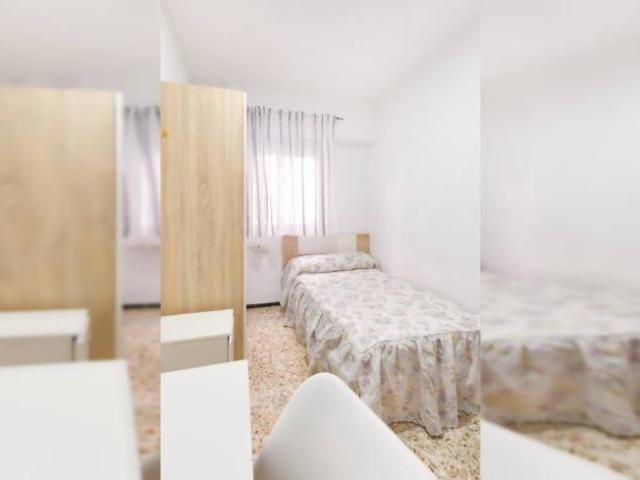 Alquiler 5 Dormitorio Shared Living/Roommate Alicante Alicante DS91985218