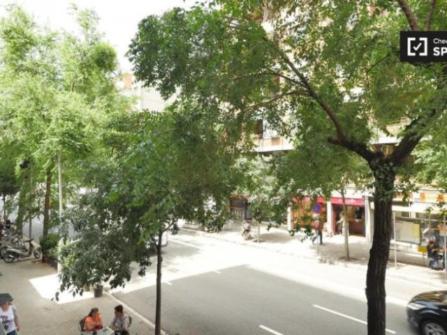 Alquiler 5 Dormitorio Shared Living/Roommate Barcelona Barcelona DS101813016