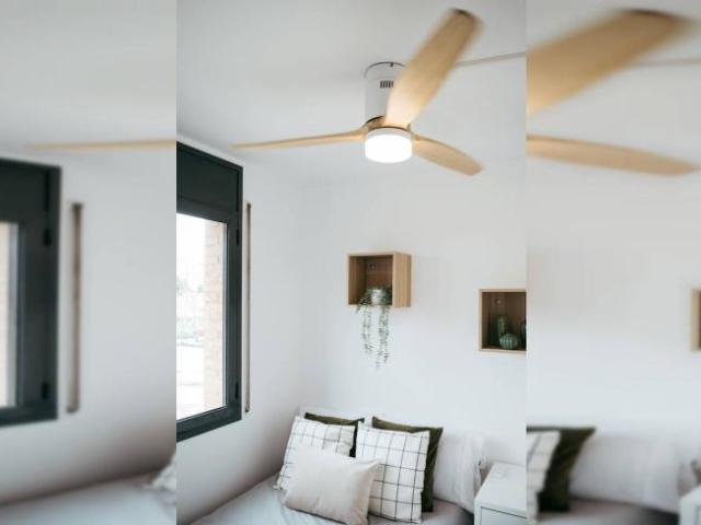 Alquiler 5 Dormitorio Shared Living/Roommate Barcelona Barcelona DS101819371