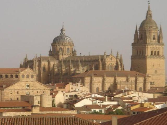 Alquiler 5 Dormitorio Shared Living/Roommate Salamanca Salamanca DLS101953047