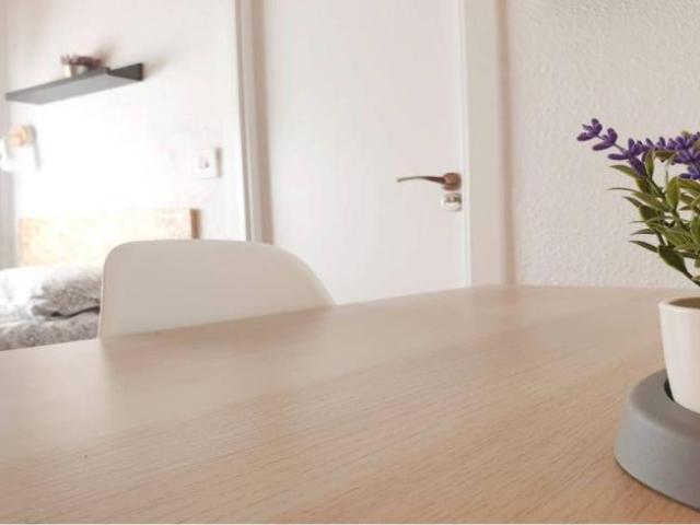 Alquiler 5 Dormitorio Shared Living/Roommate Valencia Valencia DS101788871