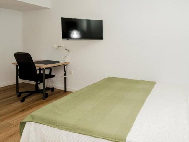 Alquiler 5 Dormitorio Shared Living/Roommate Zaragoza Zaragoza DS104845973
