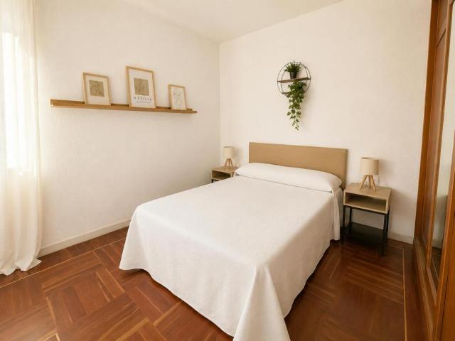 Alquiler 6 Dormitorio Apartamentos Madrid Madrid DS102716881