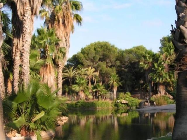 Alquiler 6 Dormitorio Apartamentos Valencia Valencia DS95325592