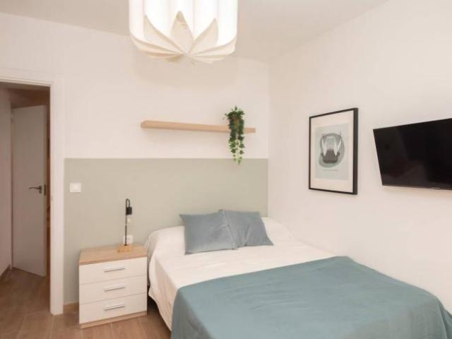 Alquiler 6 Dormitorio Shared Living/Roommate Valencia Valencia DS104845633