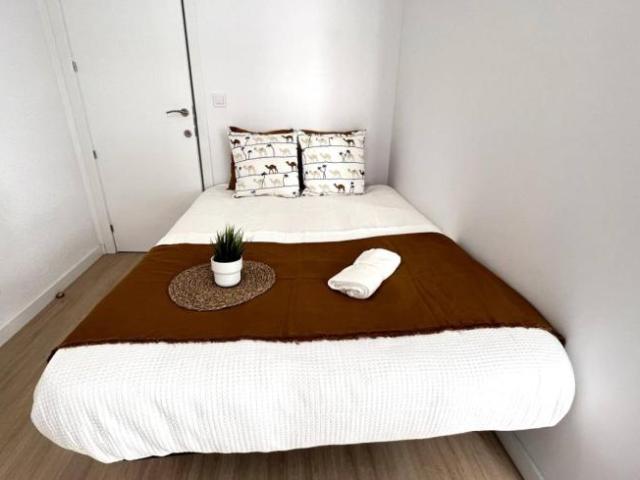 Alquiler 6 Dormitorio Shared Living/Roommate Valencia Valencia DS103657801
