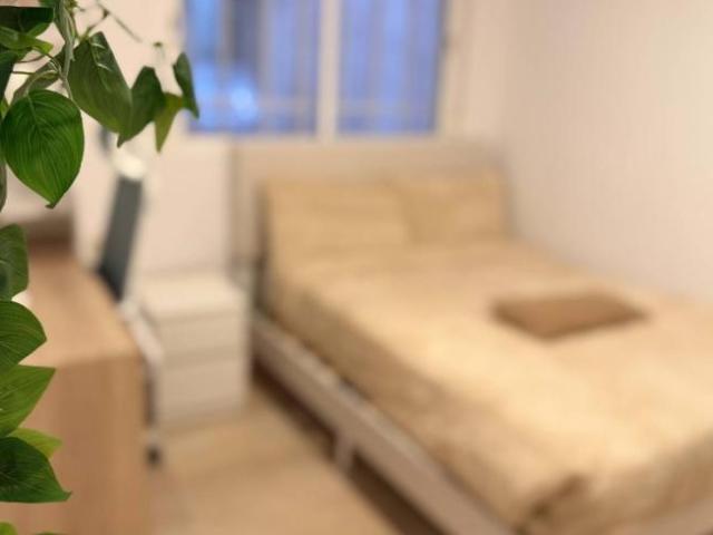 Alquiler 6 Dormitorio Shared Living/Roommate Valencia Valencia DS98334220