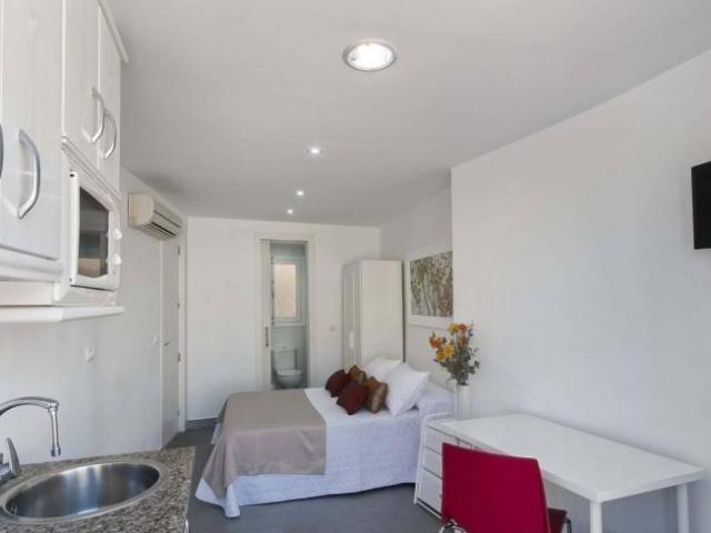 Alquiler 7 Dormitorio Shared Living/Roommate Alicante Alicante DLS101819275