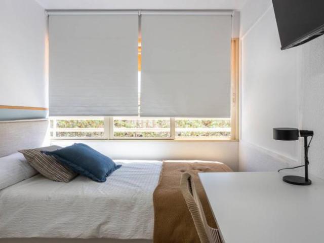 Alquiler 7 Dormitorio Shared Living/Roommate Alicante Alicante DLS101837139