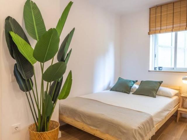 Alquiler 7 Dormitorio Shared Living/Roommate Barcelona Barcelona DS101813095