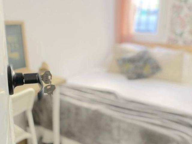 Alquiler 11 Dormitorio Shared Living/Roommate Seville Seville DS101020765