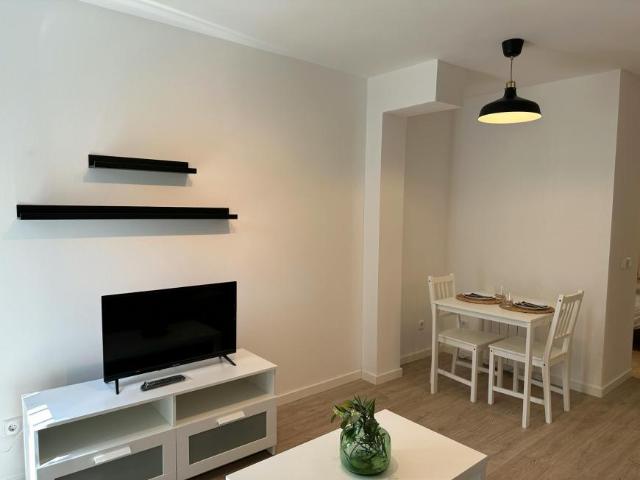 Alquiler 1 Dormitorio Apartamentos Madrid Madrid DLS100726281