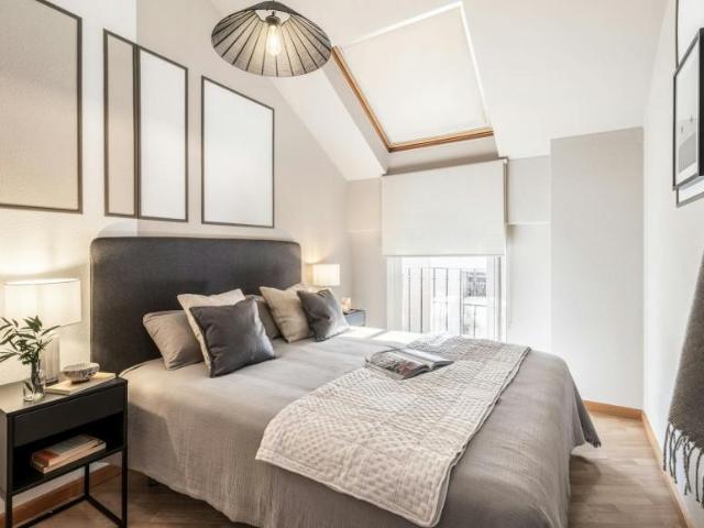 Alquiler 1 Dormitorio Apartamentos Madrid Madrid DLS101222863