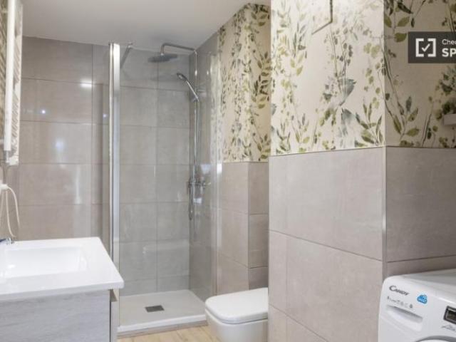 Alquiler 1 Dormitorio Apartamentos Madrid Madrid DLS101814994