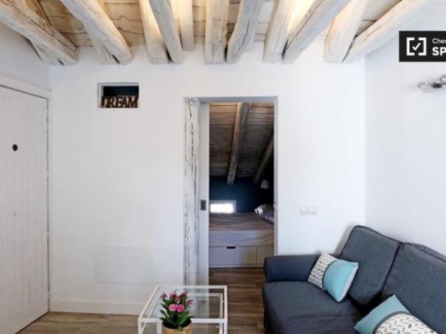 Alquiler 1 Dormitorio Apartamentos Madrid Madrid DLS101816072