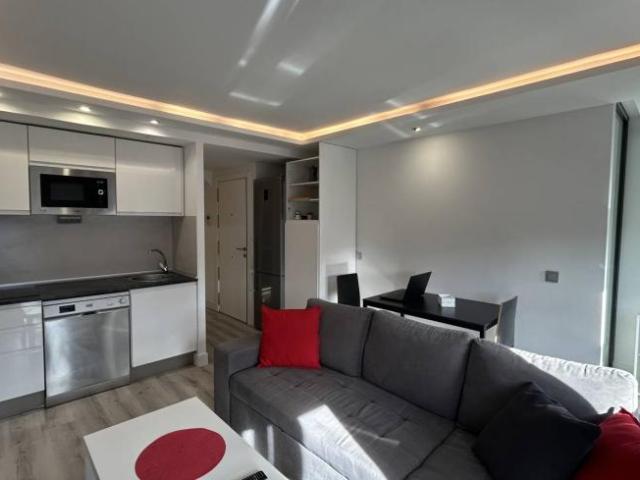 Alquiler 1 Dormitorio Apartamentos Madrid Madrid DLS101816395
