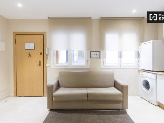 Alquiler 1 Dormitorio Apartamentos Madrid Madrid DLS101813168