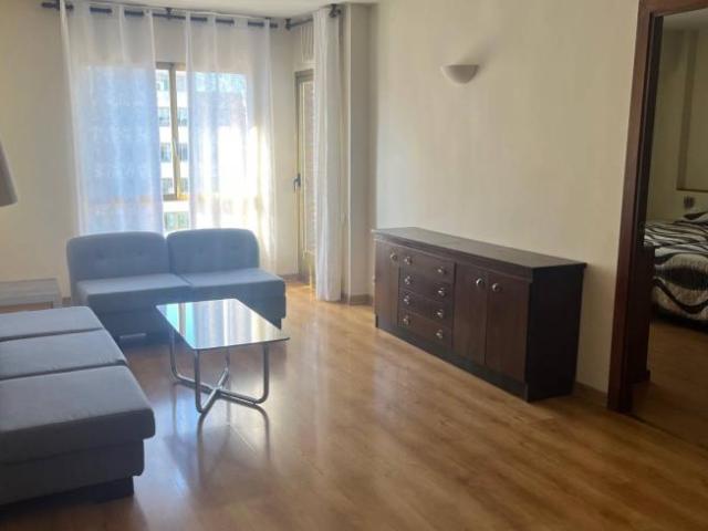 Alquiler 1 Dormitorio Apartamentos Madrid Madrid DLS101992169