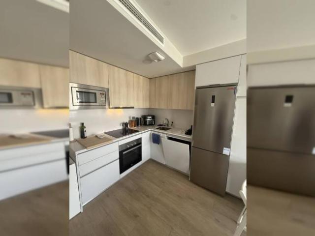 Alquiler 1 Dormitorio Apartamentos Madrid Madrid DLS101993136