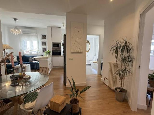 Alquiler 1 Dormitorio Apartamentos Madrid Madrid DLS102310288