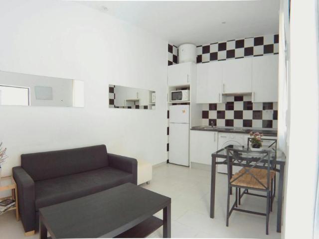 Alquiler 1 Dormitorio Apartamentos Madrid Madrid DLS102554312