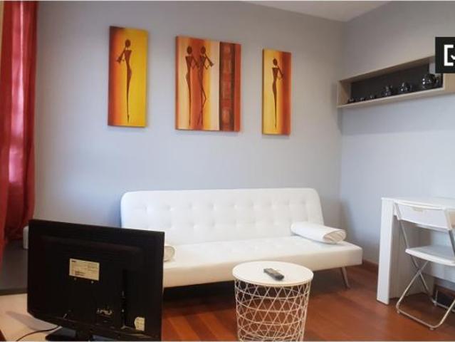 Alquiler 1 Dormitorio Apartamentos Madrid Madrid DLS102554529