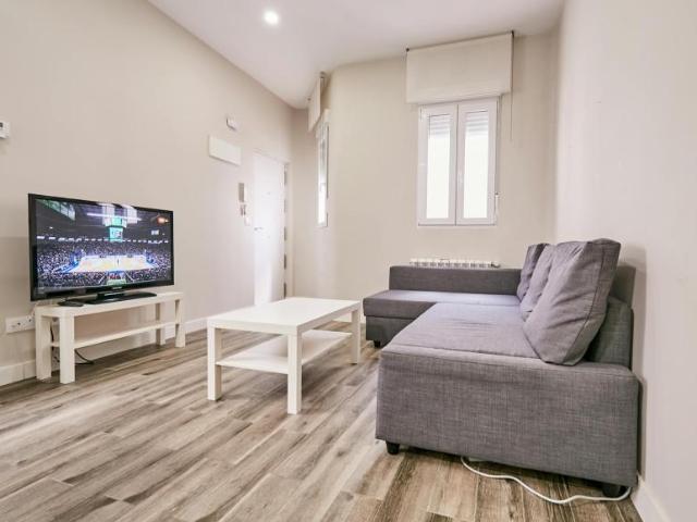 Alquiler 1 Dormitorio Apartamentos Madrid Madrid DLS102855201