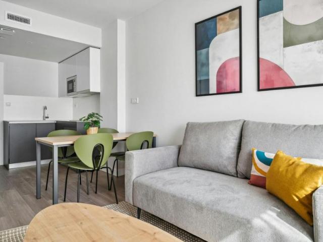 Alquiler 1 Dormitorio Apartamentos Madrid Madrid DLS102884654