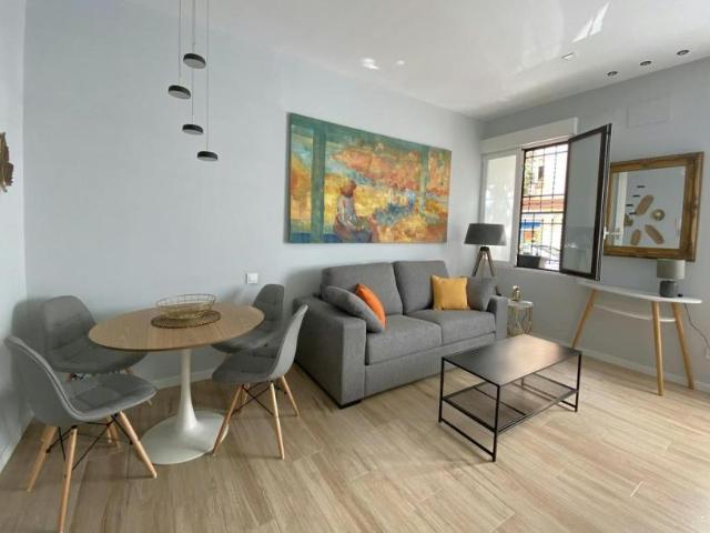 Alquiler 1 Dormitorio Apartamentos Madrid Madrid DLS102917408