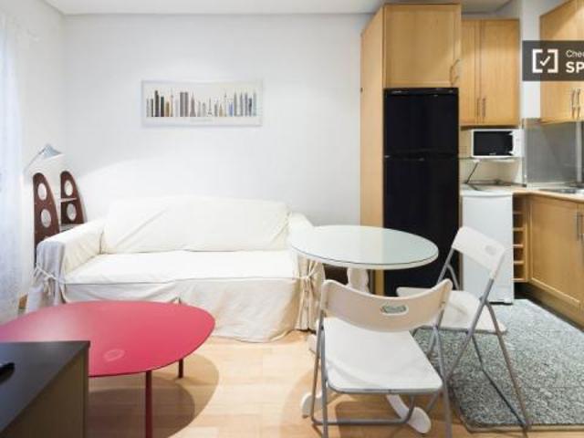 Alquiler 1 Dormitorio Apartamentos Madrid Madrid DLS55272474
