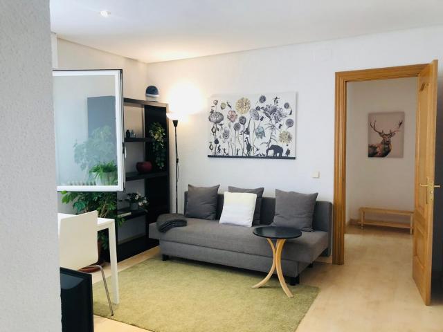 Alquiler 1 Dormitorio Apartamentos Madrid Madrid DLS65827339