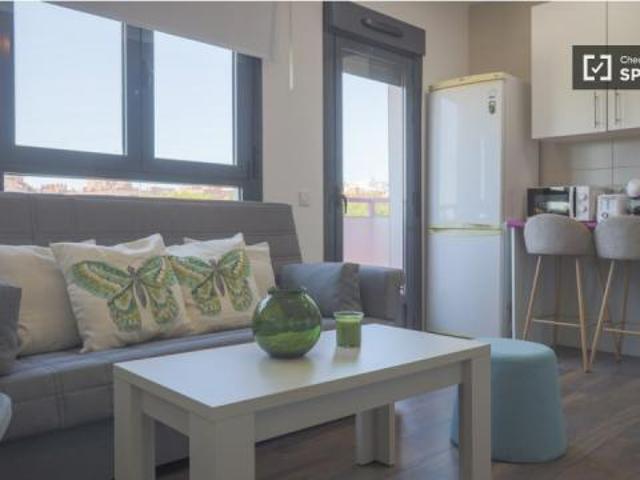 Alquiler 1 Dormitorio Apartamentos Madrid Madrid DLS67088625