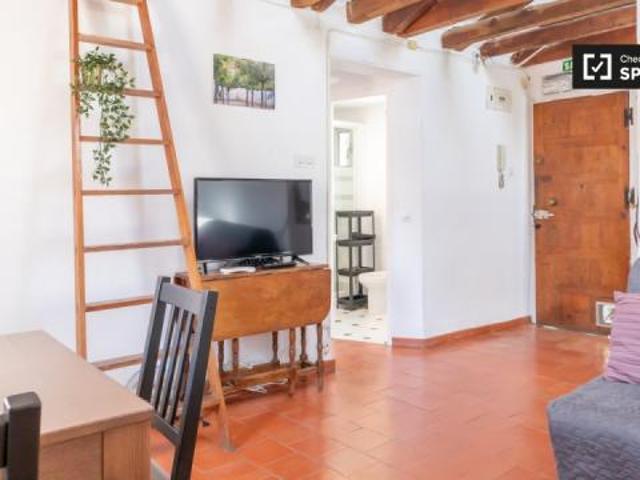 Alquiler 1 Dormitorio Apartamentos Madrid Madrid DLS72103052