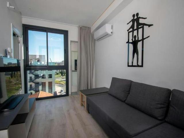 Alquiler 1 Dormitorio Apartamentos Madrid Madrid DLS74565187