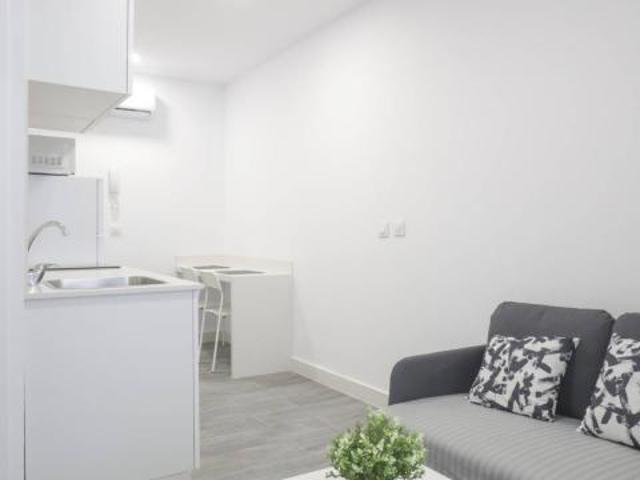 Alquiler 1 Dormitorio Apartamentos Madrid Madrid DLS76039704