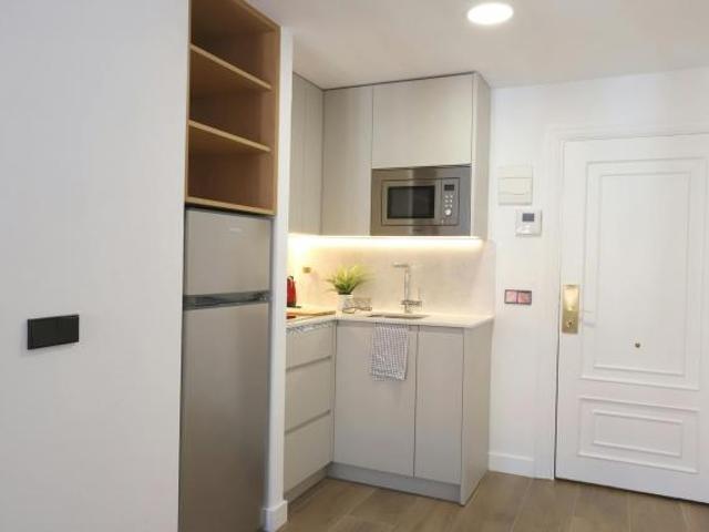 Alquiler 1 Dormitorio Apartamentos Madrid Madrid DLS81034600