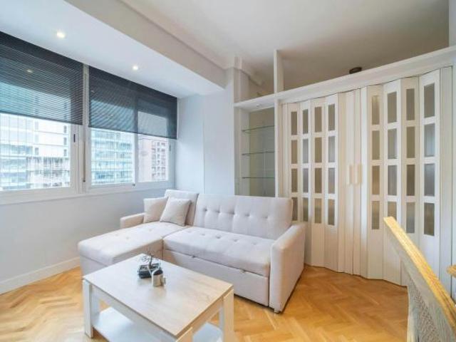 Alquiler 1 Dormitorio Apartamentos Madrid Madrid DLS82984812