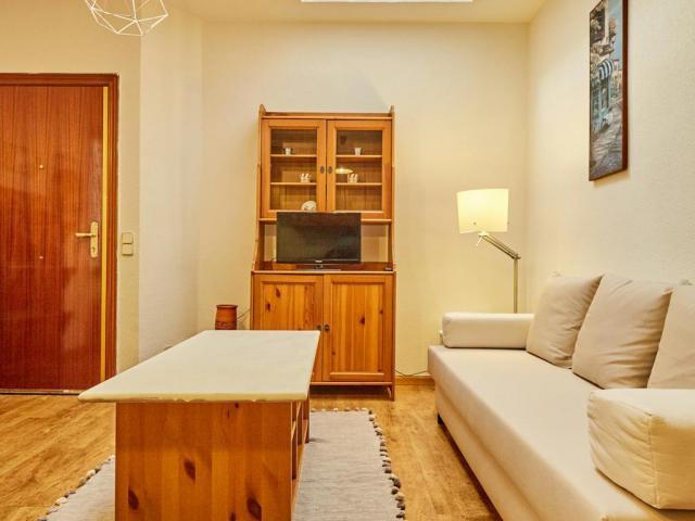 Alquiler 1 Dormitorio Apartamentos Madrid Madrid DLS85577986
