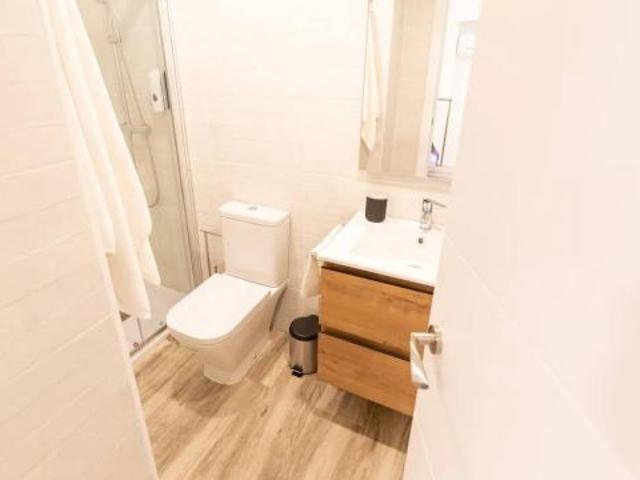 Alquiler 1 Dormitorio Apartamentos Madrid Madrid DLS87493243