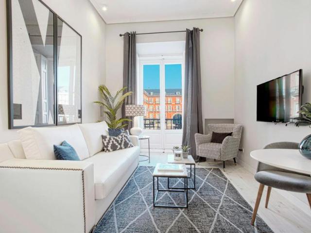 Alquiler 1 Dormitorio Apartamentos Madrid Madrid DLS90108241