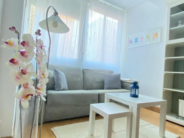 Alquiler 1 Dormitorio Apartamentos Madrid Madrid DLS91162080