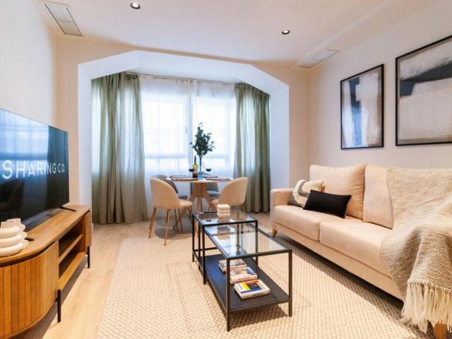 Alquiler 1 Dormitorio Apartamentos Madrid Madrid DLS92306809