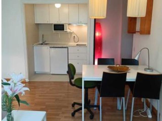 Alquiler 1 Dormitorio Apartamentos Madrid Madrid DLS95002704