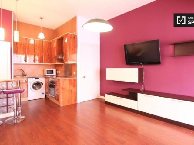 Alquiler 1 Dormitorio Apartamentos Madrid Madrid DLS95191688