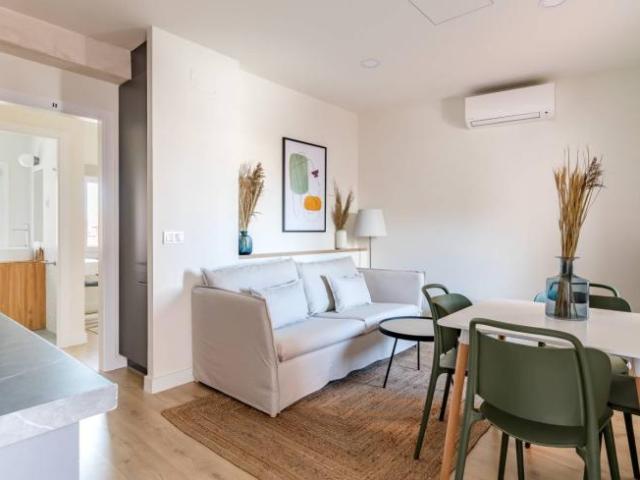 Alquiler 1 Dormitorio Apartamentos Madrid Madrid DLS96690577