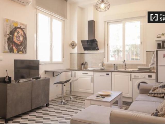 Alquiler 1 Dormitorio Apartamentos Madrid Madrid DLS96307564